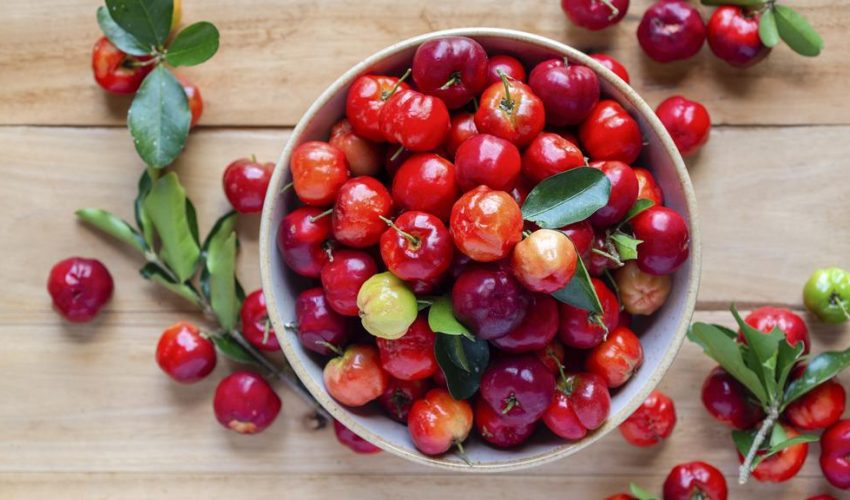 Acerola-Liofilizada-Explorando-os-Beneficios-Tecnologicos-e-Nutricionais-dessa-Superfruta