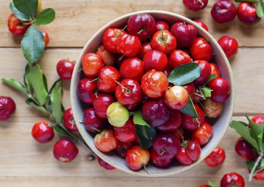 Acerola-Liofilizada-Explorando-os-Beneficios-Tecnologicos-e-Nutricionais-dessa-Superfruta