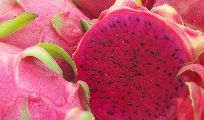 Pitaya-Vermelha-Liofilizada-1