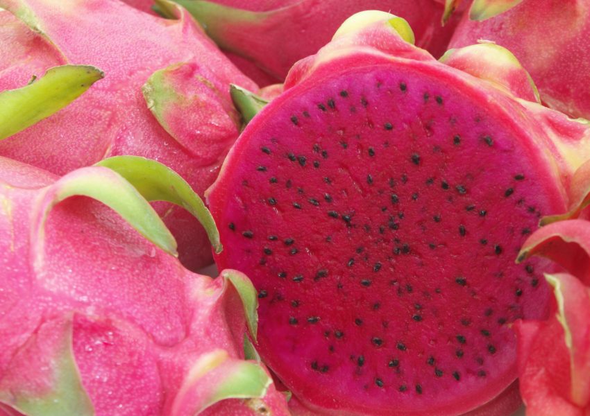 Pitaya-Vermelha-Liofilizada-1