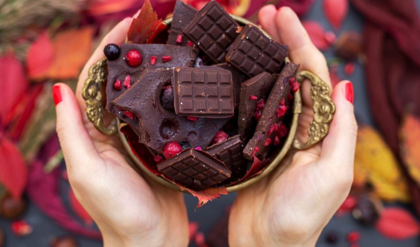 vista-superior-de-uma-pessoa-segurando-pequenas-barras-de-chocolate-vegan-delicioso-com-frutas-vermelhas-scaled